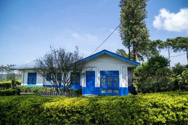 CIWIDEY, İNDONEZYA - 30 Ekim 2024: Gün boyunca doğal atmosferi olan mavi ve beyaz çay toplayıcıları evleri
