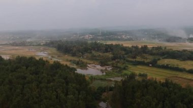 Hasattan sonra pirinç tarlalarının havadan görünüşü