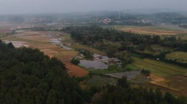 Hasattan sonra pirinç tarlalarının havadan görünüşü