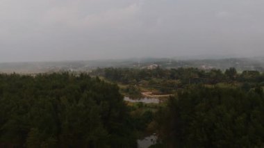 Hasattan sonra pirinç tarlalarının havadan görünüşü