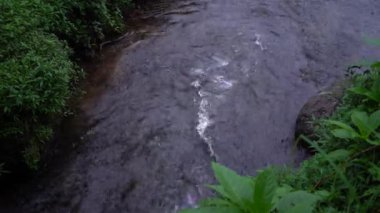 Çay tarlasının ortasındaki küçük nehir. Doğa kavramı