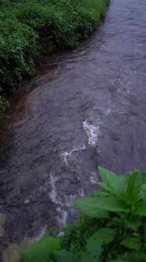 Çay tarlasının ortasındaki küçük nehir. Doğa kavramı