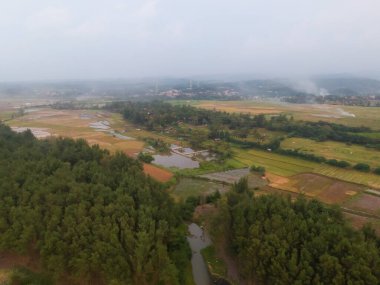 Hasattan sonra pirinç tarlalarının havadan görünüşü