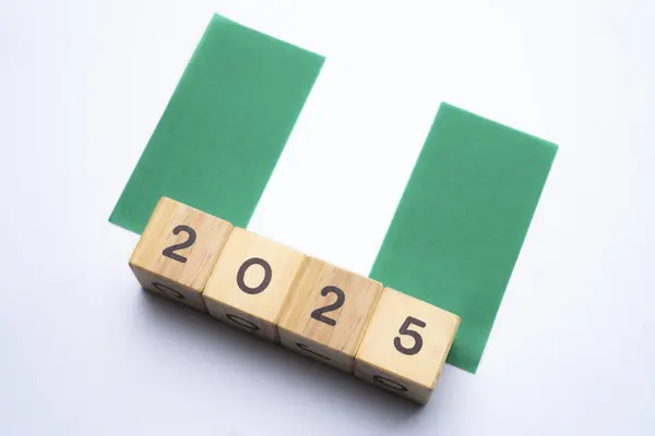 2025, Nijerya, Nijerya bayrağı tarih engeli, konsept, Nijerya için önemli etkinlikler yeni yıl, seçim, ekonomi, sosyal faaliyetler, merkez bankası, Nijerya dış politikası