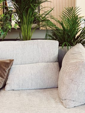 Ev dekorasyonu ve iç tasarım, oturma odasında yastıklı modern kanepe veya yeşil ev bitkileri, mobilya ve dekorasyon detaylarıyla ofis