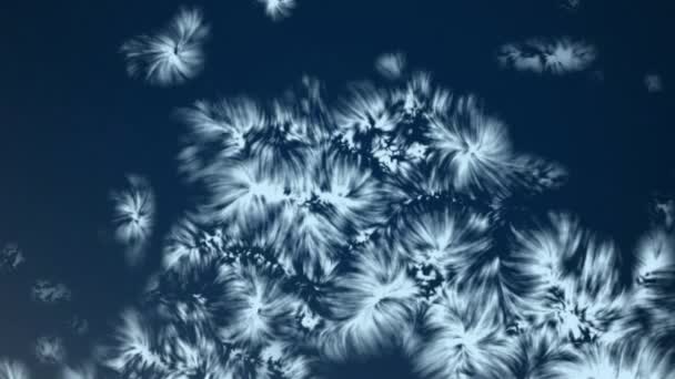 冬の休日の背景と凍結効果 抽象的な濃い青の背景を覆う凍結上の霜層と氷 雪の表面を覆う雪 クリスマスと冬の休日のデザインのための凍結雪 — ストック動画