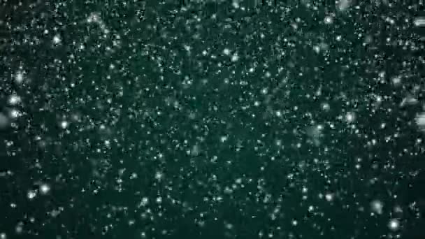 Wintervakantie Winterse Achtergrond Witte Sneeuw Die Valt Feestelijke Groene Achtergrond — Stockvideo