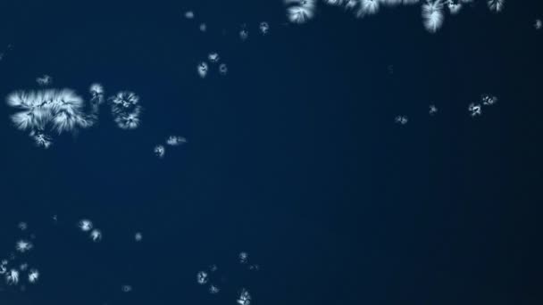 寒假背景和寒假效果 覆盖抽象深蓝色背景的霜冻层和霜冻 覆盖表面的雪花 圣诞节的霜冻雪和冬季假日设计 — 图库视频影像