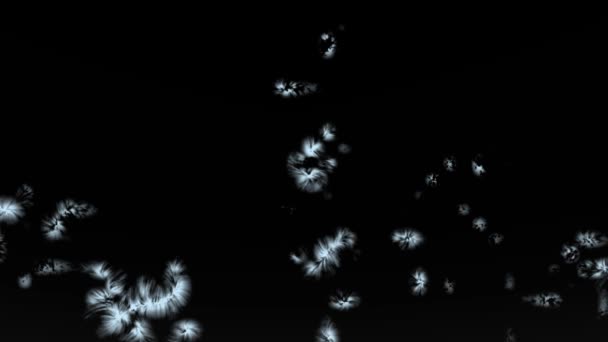 霜冻和冬季覆盖 霜冻层和结冰覆盖黑色背景 雪花生长和覆盖表面 圣诞节和冬季假日设计的霜冻雪Vfx过渡 — 图库视频影像