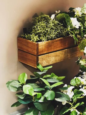 Ev dekorasyonu ve iç tasarım, dekoratif yeşil ev bitkileri, mobilya ve dekorasyon ayrıntıları