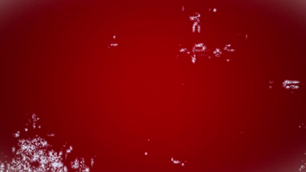 冬の休日の背景と凍結効果 抽象的な赤い背景を覆う凍結上の霜層と氷 雪の結晶が成長し 表面を覆い クリスマスと冬の休日のデザインのための凍結雪 — ストック動画