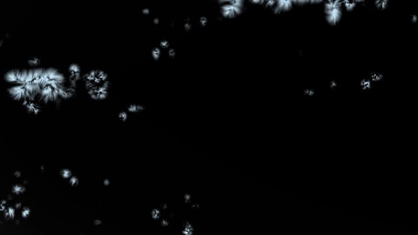 凍結と冬のオーバーレイ 凍結効果の上の霜層と氷黒の背景をカバーし 雪の結晶が成長し 表面をカバーし クリスマスと冬の休日のデザインのための凍結雪Vfx遷移 — ストック動画