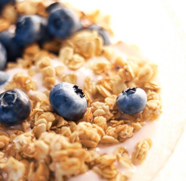 Kahvaltı fikri ve lezzetli yemek, kahvaltılık tahıl taneleri laktozsuz yoğurt ve taze organik yaban mersini kasesi, lezzetli ve sağlıklı tarif, yemek fotoğrafçılığı.