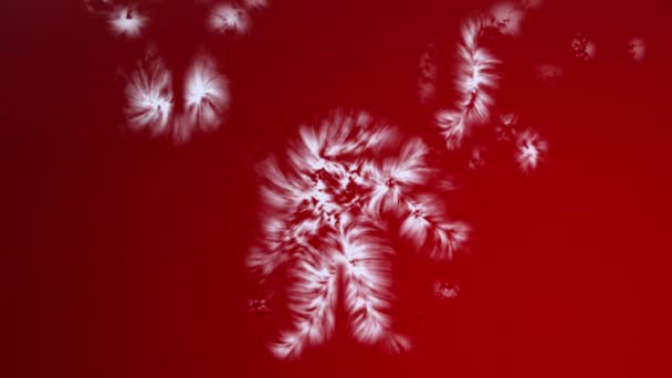 冬の休日の背景と凍結効果 抽象的な赤い背景を覆う凍結上の霜層と氷 雪の結晶が成長し 表面を覆い クリスマスと冬の休日のデザインのための凍結雪 — ストック動画