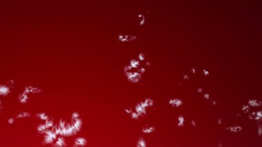 Kış tatili arka planı ve dondurucu etkisi, soyut kırmızı arkaplanı kaplayan don tabakası ve buz tabakası, kar taneleri büyür, yüzeyi kaplar, Noel için donmuş kar ve kış tatili tasarımı