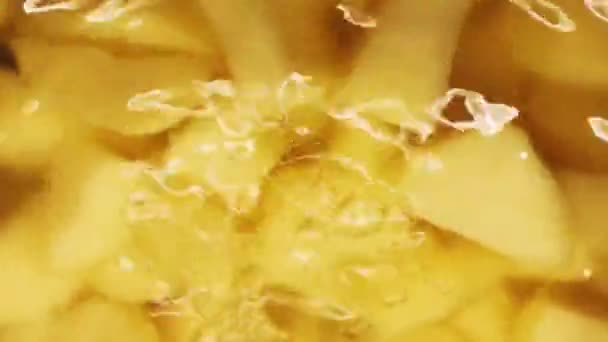Готовить Картофель Кипящей Воде Питание Рецепт — стоковое видео