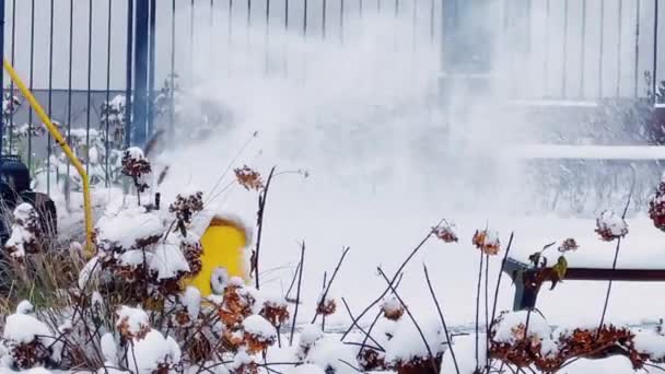 冬の歩道を掃除する雪の除去機 雪の天気条件 — ストック動画