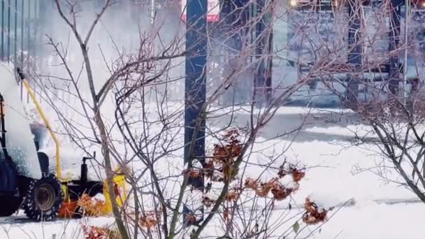 Snow Removal Machine Cleaning Sidewalk Winter Snowing Weather Conditions — Video