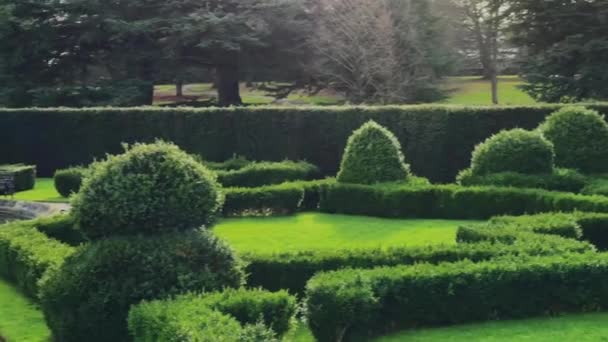 Beautiful Formal English Countryside Garden Green Plants Trees Sunny Day — Stock Video