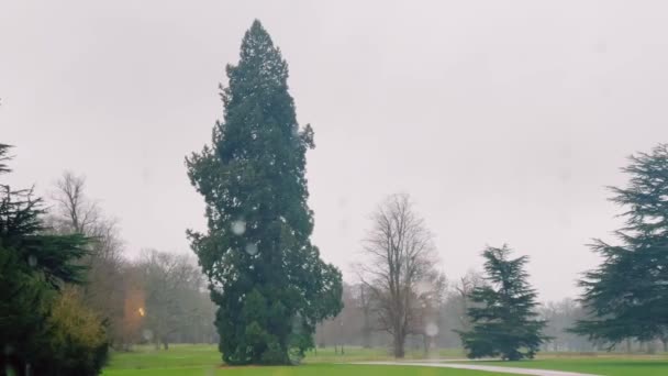 Beautiful Nature English Countryside Green Lawn Trees Rainy Day England — ストック動画