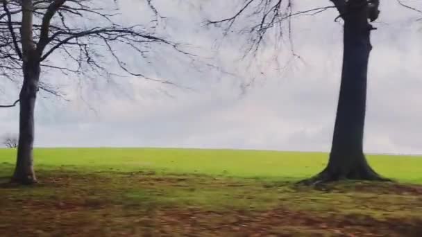Driving English Countryside Beautiful Nature Trees Winter England United Kingdom — Stock video