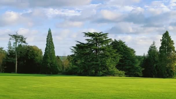 Beautiful Nature English Countryside Landscape Green Lawn Trees Sunny Day — стокове відео