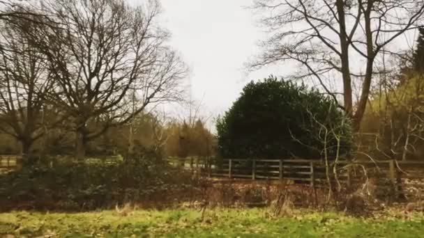 Farmland Field Landscape Trees England United Kingdom Beautiful Nature English — ストック動画