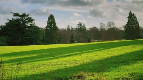 Beautiful Nature English Countryside Landscape Green Lawn Trees Sunny Day — ストック動画