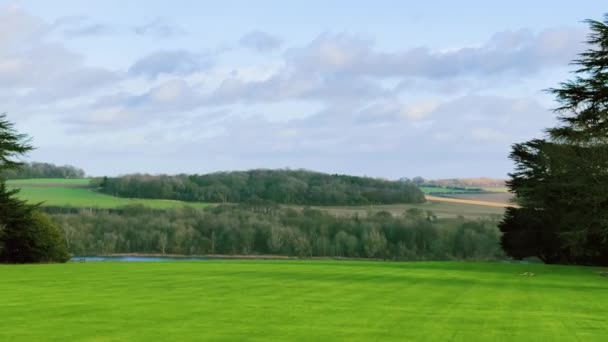 Beautiful Nature English Countryside Landscape Green Lawn Trees Sunny Day — стокове відео