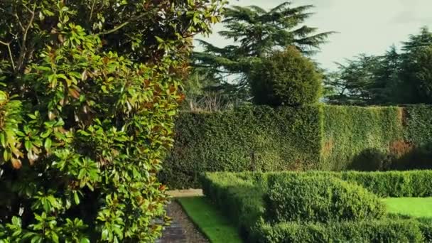 Beautiful Formal English Countryside Garden Green Plants Trees Sunny Day — стоковое видео