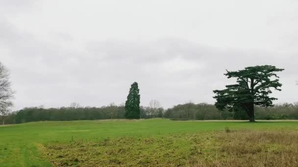 Beautiful Nature English Countryside Landscape Green Field Trees England United — стокове відео