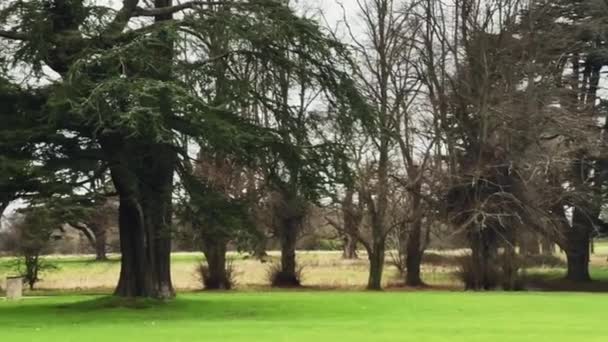 Beautiful Nature English Countryside Landscape Green Lawn Trees England United — стокове відео