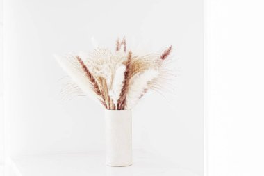 Vazodaki ve duvardaki nötr kuru bitkiler kopyalama alanı, ev dekorasyonu ve iç tasarımı içeriyor.