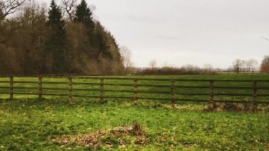 Farmland, field landscape and trees in England, United Kingdom, beautiful nature of the English countryside.