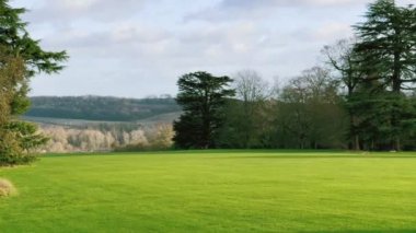 Beautiful nature of the English countryside landscape, green lawn and trees on a sunny day in England, United Kingdom.