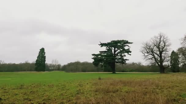 Beautiful Nature English Countryside Landscape Green Field Trees England United — Vídeo de stock