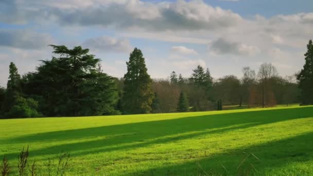 Beautiful Nature English Countryside Landscape Green Lawn Trees Sunny Day — Stock video