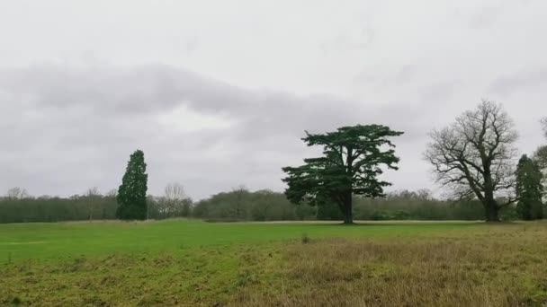 Beautiful Nature English Countryside Landscape Green Field Trees England United — стоковое видео