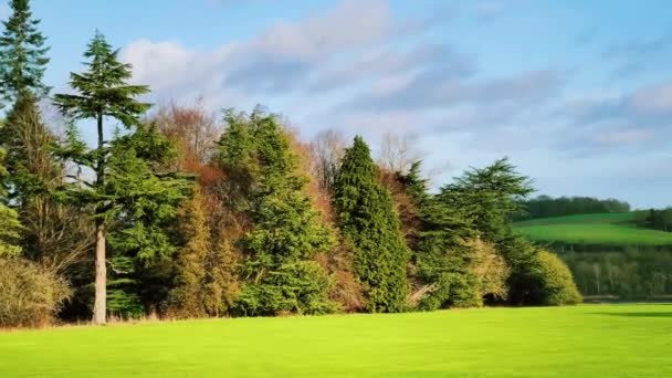 Beautiful Nature English Countryside Landscape Green Lawn Trees Sunny Day — Vídeo de stock