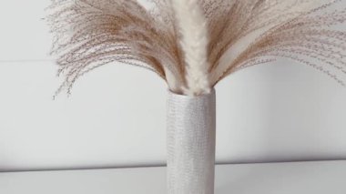 Neutral dry plants in vase, home decor and interior design.