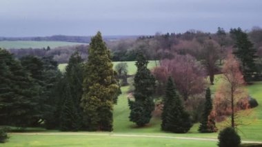 Beautiful nature of the English countryside landscape, green lawn and trees in England, United Kingdom.