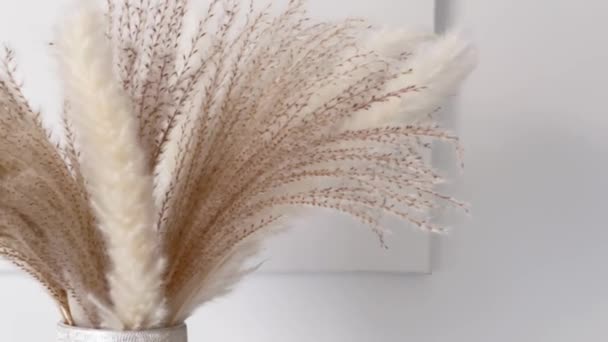 Нейтральні Сухі Рослини Вазі Домашньому Декорі Дизайні Інтер Єру — стокове відео