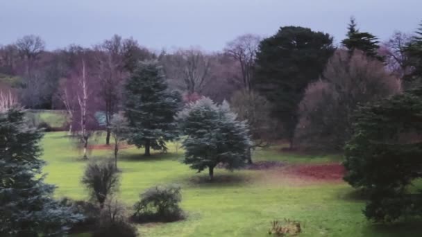 Beautiful Nature English Countryside Landscape Green Lawn Trees England United — Wideo stockowe