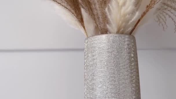 Neutral Dry Plants Vase Home Decor Interior Design — Stok video