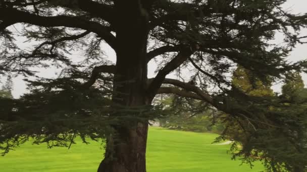 Beautiful Nature English Countryside Luton Hoo Estate — Video Stock