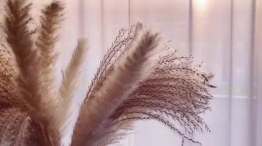 İç tasarım ve ev dekorasyonu için bir vazoda nötr bitkiler sergileniyor.