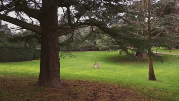 Bäume Den Sanften Hügeln Der Englischen Landschaft Einem Bewölkten Tag — Stockvideo