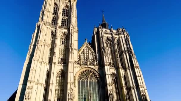 Antwerp Belçika Daki Roma Katolik Katedrali — Stok video
