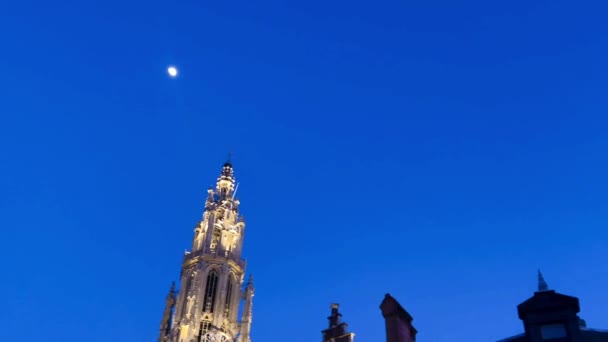 Grote Markt Historyczny Plac Centralny Antwerpii Belgia Nocą — Wideo stockowe