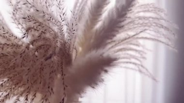 Renkli börekler, sashimi ve süslemelerden oluşan suşi tabağı.